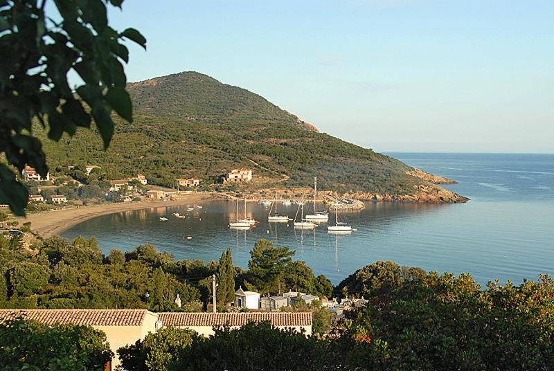 Hotel L'Alivu Galeria  Εξωτερικό φωτογραφία