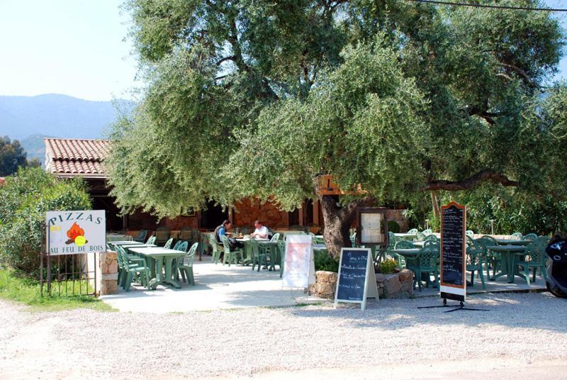 Hotel L'Alivu Galeria  Εξωτερικό φωτογραφία